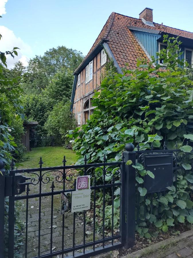 Fewo Haus Patze Betzendorf Extérieur photo