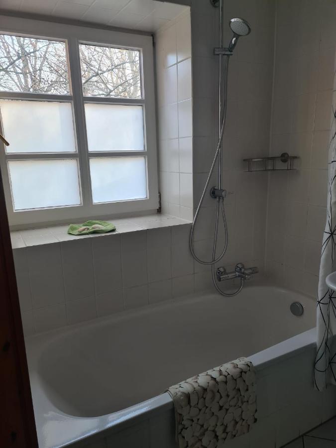 Fewo Haus Patze Betzendorf Extérieur photo